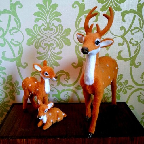 or LATTeスタッフ | 中目黒まつ毛エクステサロン専門店～or LATTe～の