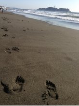 まにわ | Sunny hills 藤沢店の