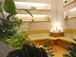 セラピスト1 | ナチュラルガーデン  阪急西宮ガーデンズ店の