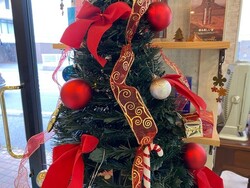 namikata | Bliss of Hairのディレクター