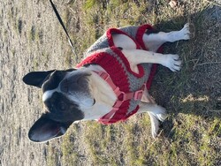 Abby | CutStudio・Ren～レン～の代表