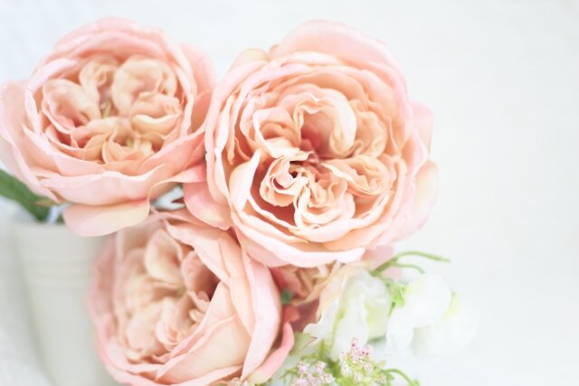 [アイキャッチ]今月もありがとうございました。