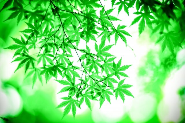 [アイキャッチ]