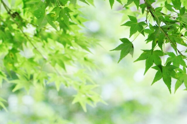 [アイキャッチ]