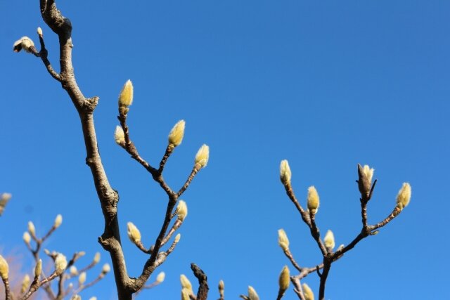 [アイキャッチ]