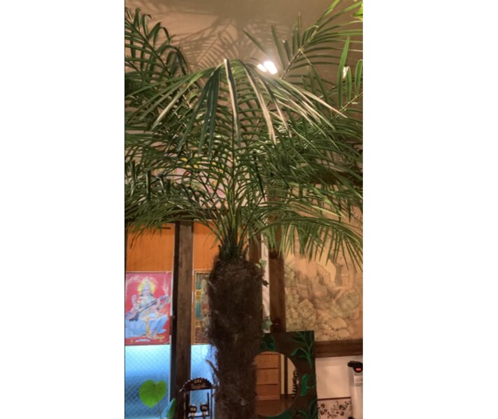 [アイキャッチ]お盆休みのお知らせ