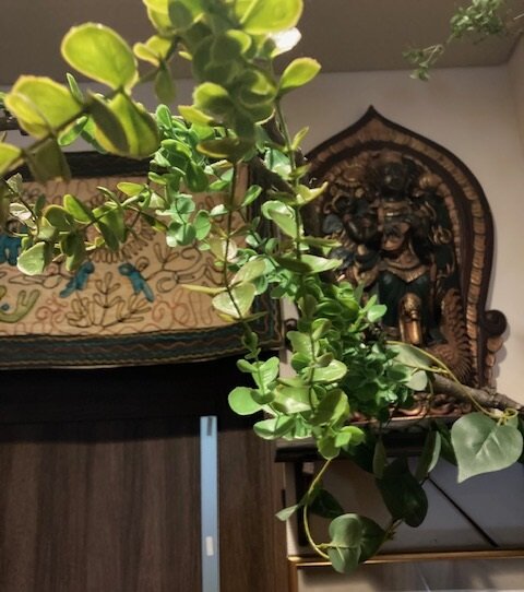 [アイキャッチ]