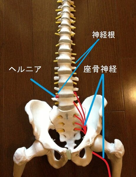 [アイキャッチ]お母様のご紹介で来店
