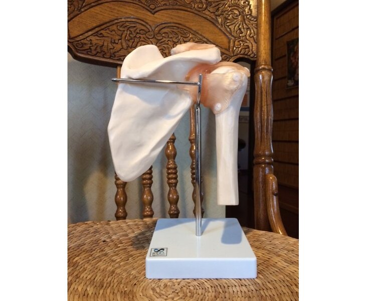 [アイキャッチ]何年もの間・・・