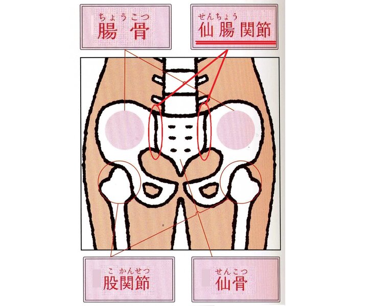 [アイキャッチ]腰痛の男性