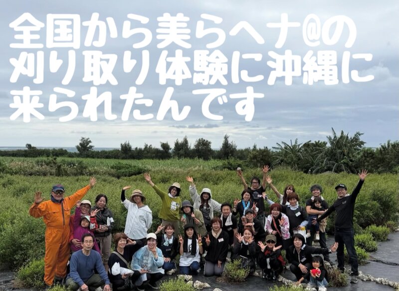 [アイキャッチ]沖縄にある美らヘナ畑に全国の美容師さんが集合