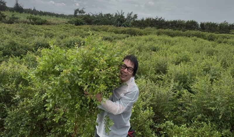 [アイキャッチ]愛媛で育てた美らヘナの苗を沖縄のヘナ畑に植樹