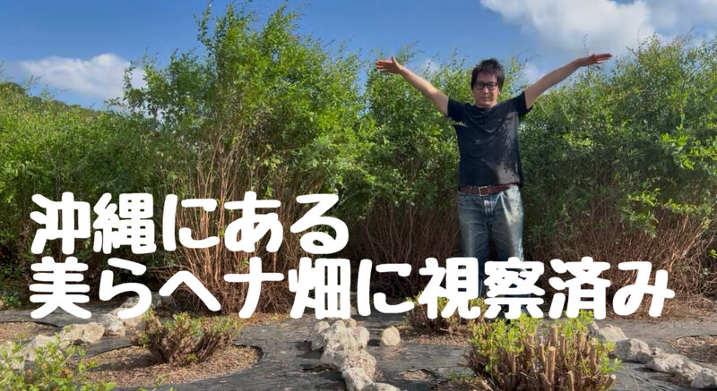 [アイキャッチ]沖縄へ飛び美らヘナ畑や加工工場を視察済みなので安心安全に施術が可能