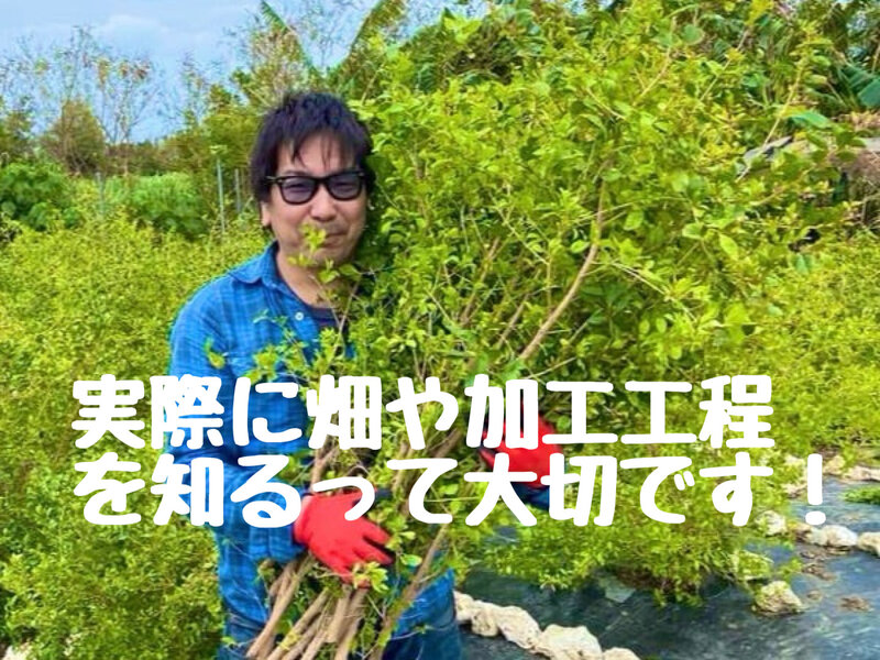 [アイキャッチ]ウソの多いヘナ業界たからこそ本物を使いたい国産美らヘナ@なら愛媛西条美容室〜想〜新居浜
