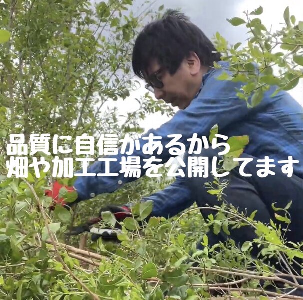 [アイキャッチ]品質に自信があるから畑も加工工程も公開してる美らヘナなら愛媛西条美容室〜想〜新居浜