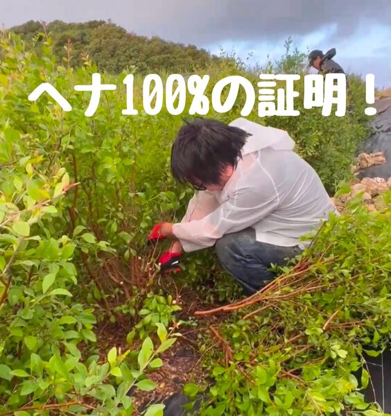 [アイキャッチ]天然ヘナ100%の証明は！愛媛県西条美容室〜想〜新居浜
