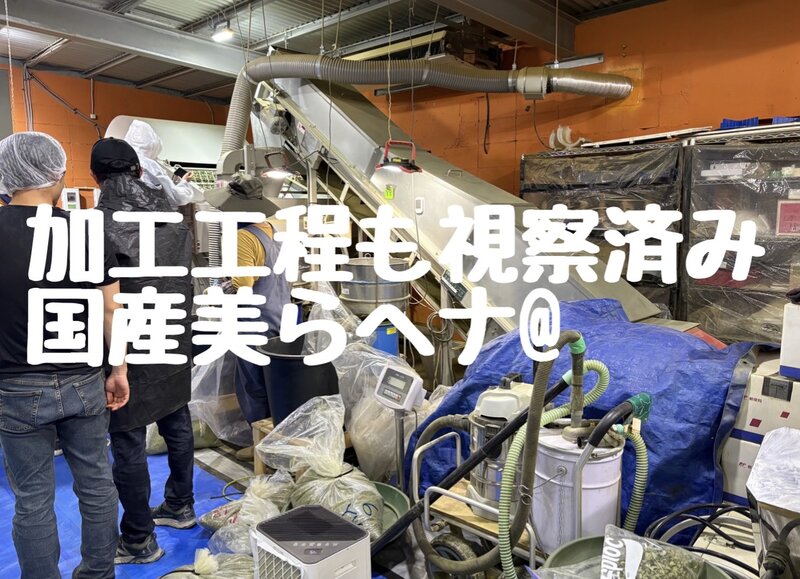 [アイキャッチ]加工工程も視察済みの国産美らヘナ@は愛媛西条美容室〜想〜新居浜