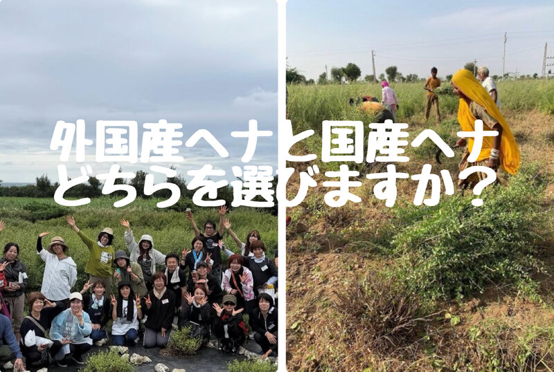 [アイキャッチ]外国産ヘナと国産ヘナどちらを選びますか？愛媛西条美容室〜想〜新居浜