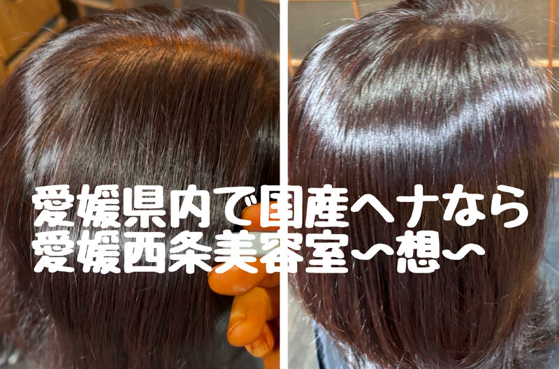 [アイキャッチ]愛媛県内で国産ヘナなら愛媛西条美容室〜想〜新居浜