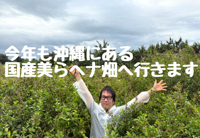 [アイキャッチ]今年も沖縄の美らヘナ畑へ行ってきます！愛媛西条美容室〜想〜新居浜