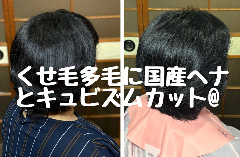 [アイキャッチ]くせ毛多毛の悩みにキュビズムカット@と国産美らヘナ@の組み合わせは相性がイイ！