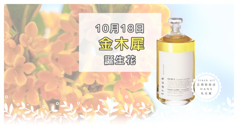 [アイキャッチ]金木犀の香り～満開