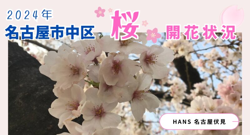 [アイキャッチ]名古屋市中区の桜情報