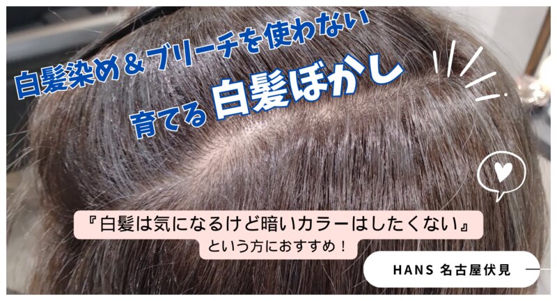 [アイキャッチ] 白髪 染め＆ブリーチを使わない『育てる』 白髪 ぼかし