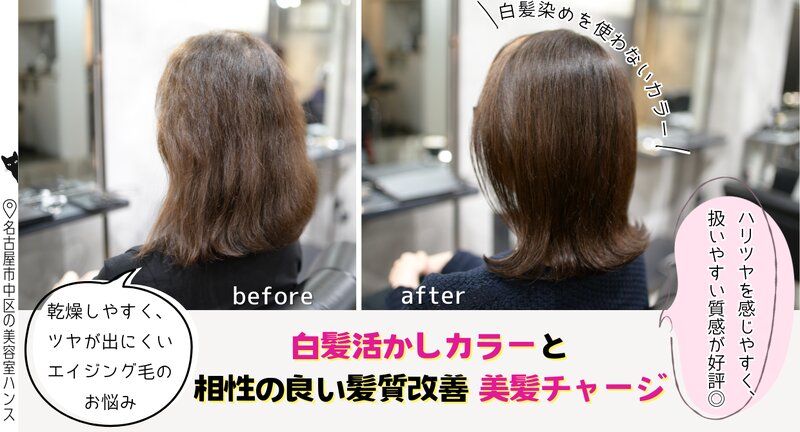 [アイキャッチ]白髪活かし×髪質改善の施術例をブログでご紹介しました！