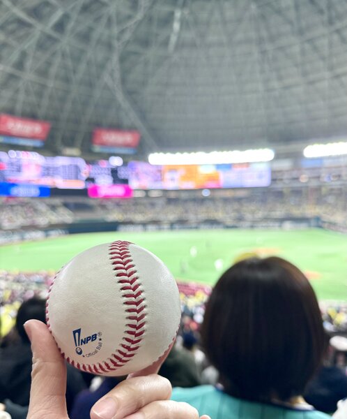 [アイキャッチ]オープン戦！