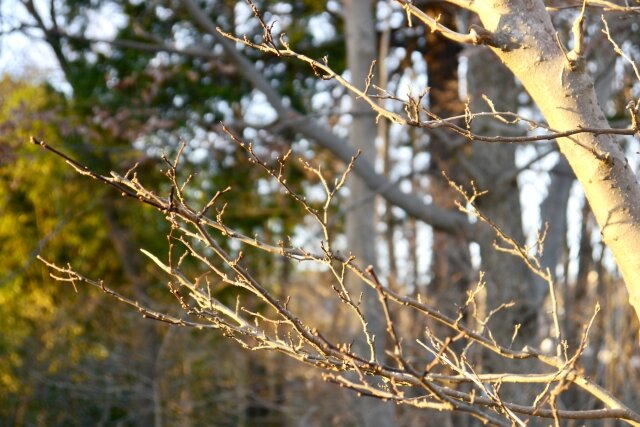 [アイキャッチ]寒い季節とお肌の乾燥