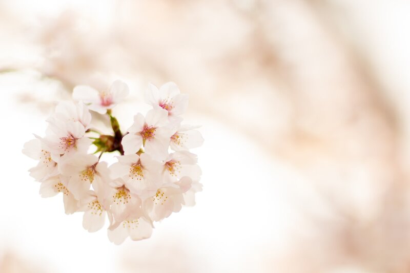 [アイキャッチ]春のボディケア