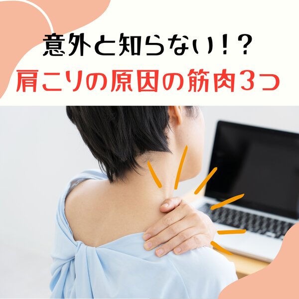 [アイキャッチ]肩こりの原因の筋肉は３つ