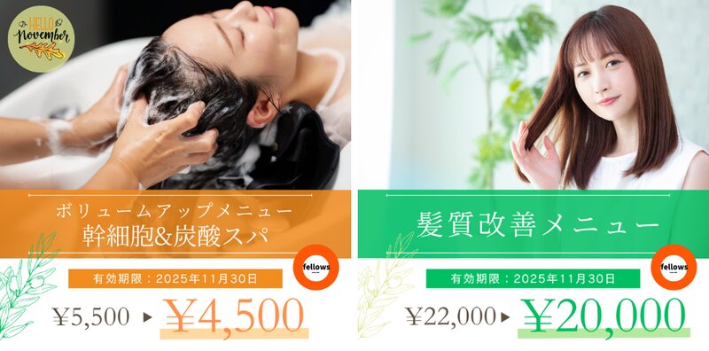 [アイキャッチ]乾燥の季節にぴったり♪11月の髪ケアキャンペーン🍂