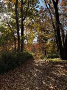 [アイキャッチ]気持ちの良いウォーキングとその効果