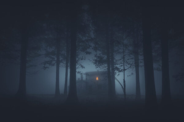 暗い森の中にある家